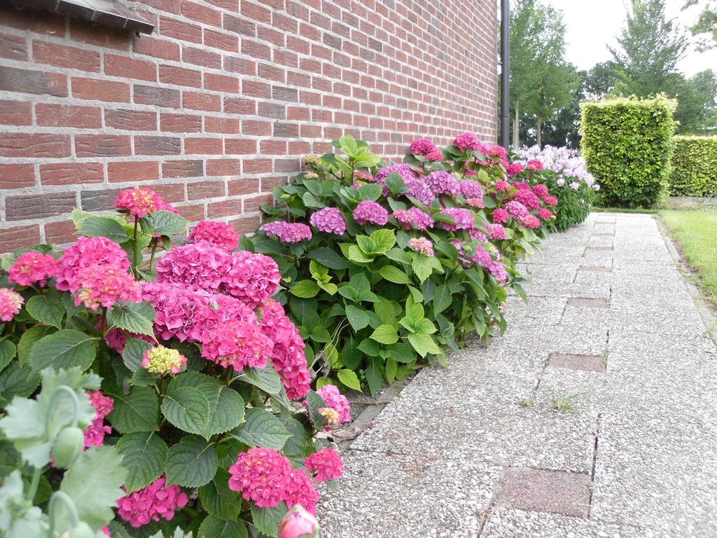Nicolaashoeve Beemster Bed & Breakfast Noordbeemster ภายนอก รูปภาพ